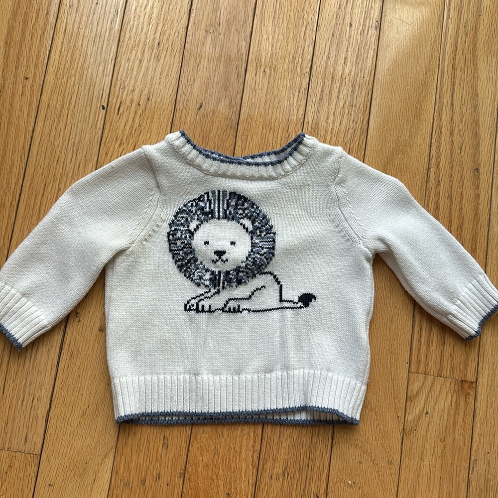 Janie and jack sweater